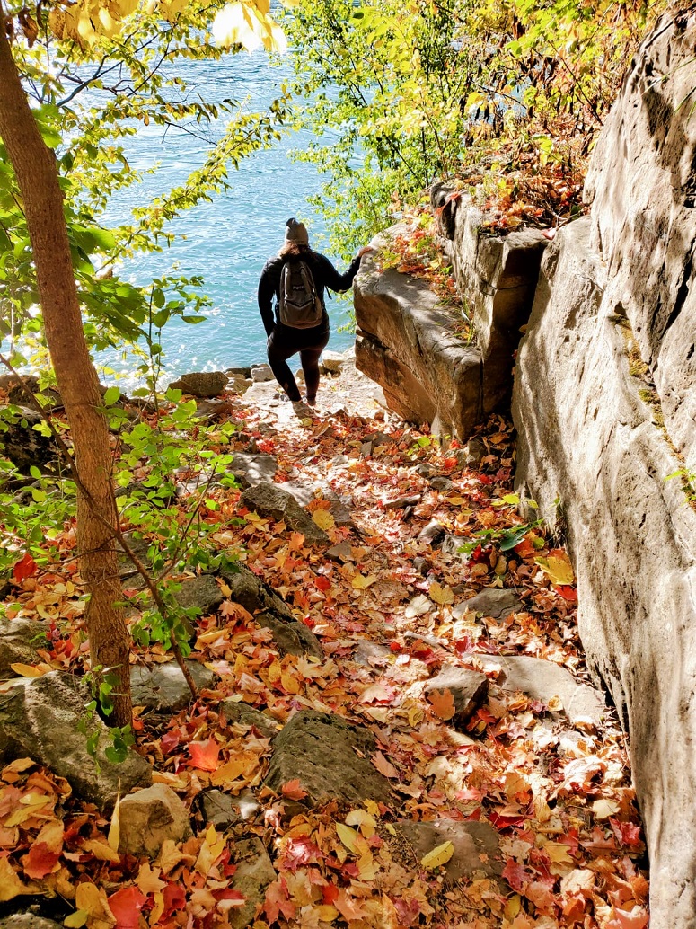 Fall Colours Challenge 2021!