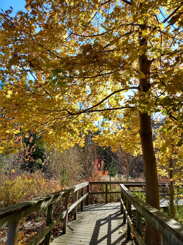 IMG_20211107_135424739_HDR.jpg