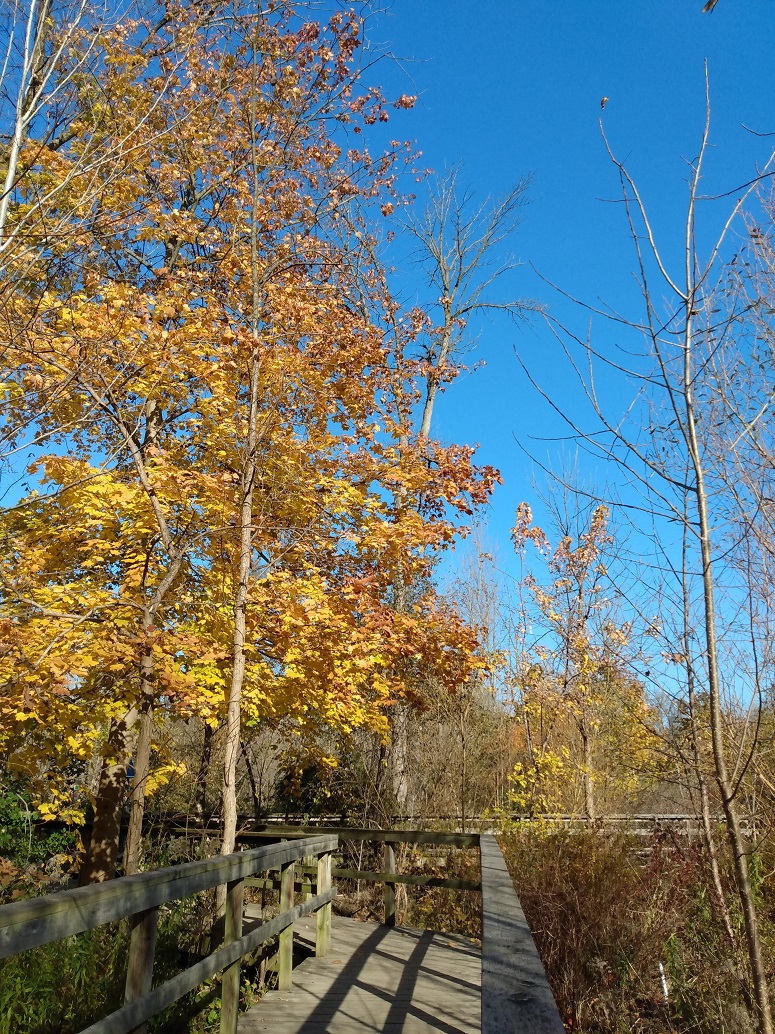 IMG_20211107_135514223.jpg