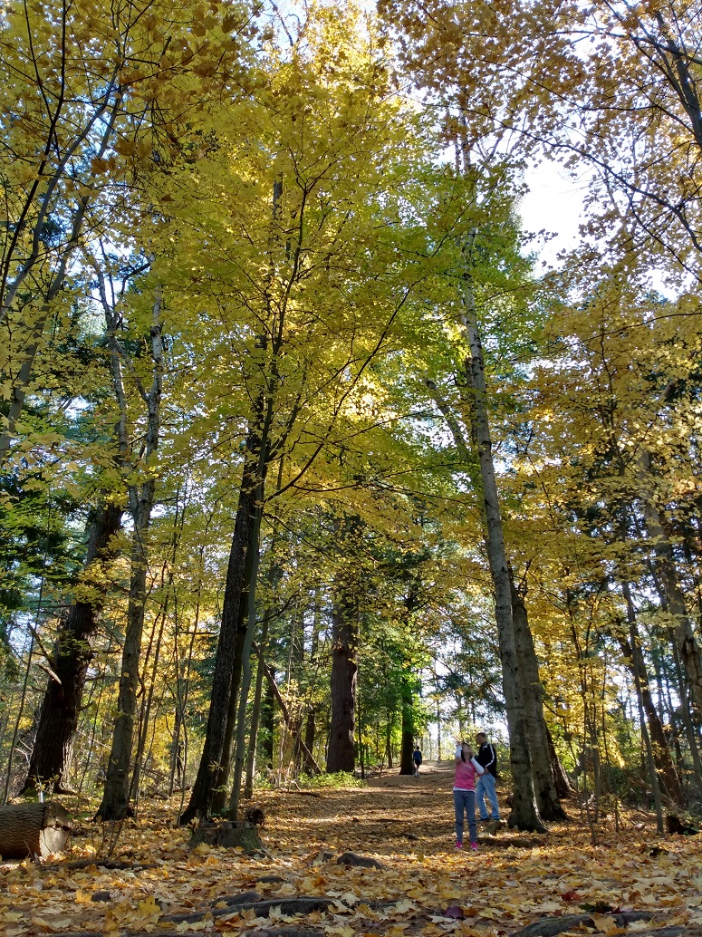 IMG_20211107_135826580_HDR.jpg