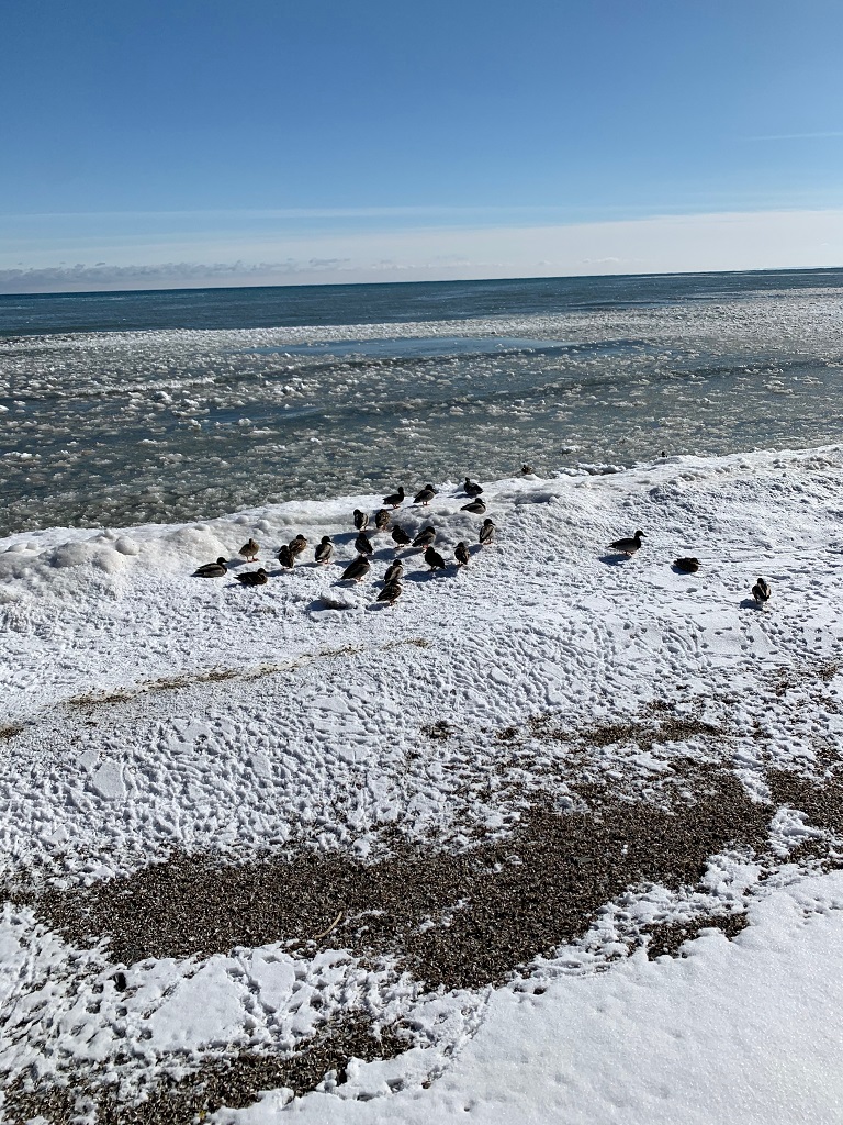 Coldest Night of the Year